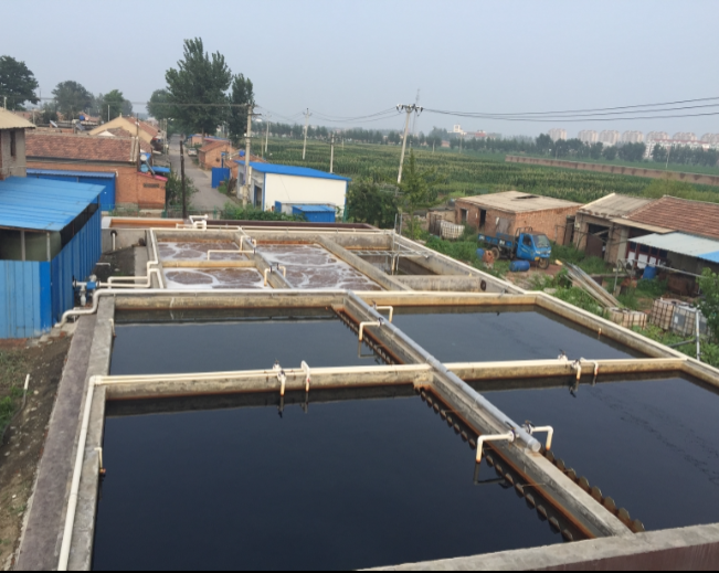 天津廣帛翔地毯有限公司生產